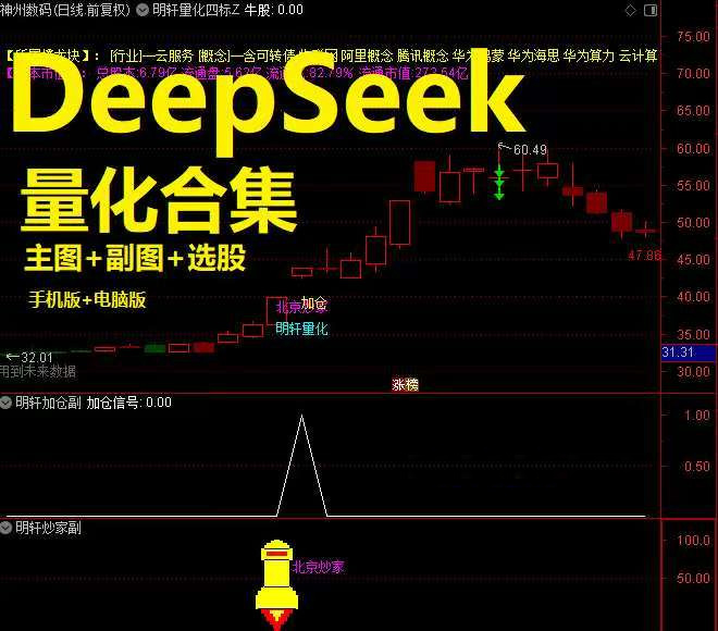 新版DeepseeK量化合集主副图选股指标_展示图_06