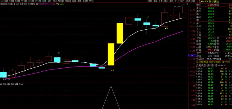 原创精品【马跃龙腾】主副图+选股_展示图_05