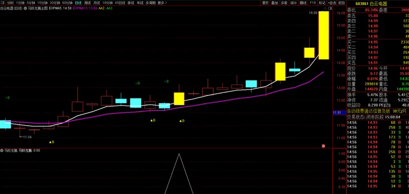原创精品【马跃龙腾】主副图+选股_展示图_10