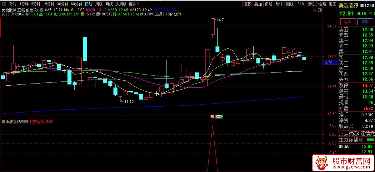 通达信〖私密金钻预警〗副图+选股指标_展示图_02