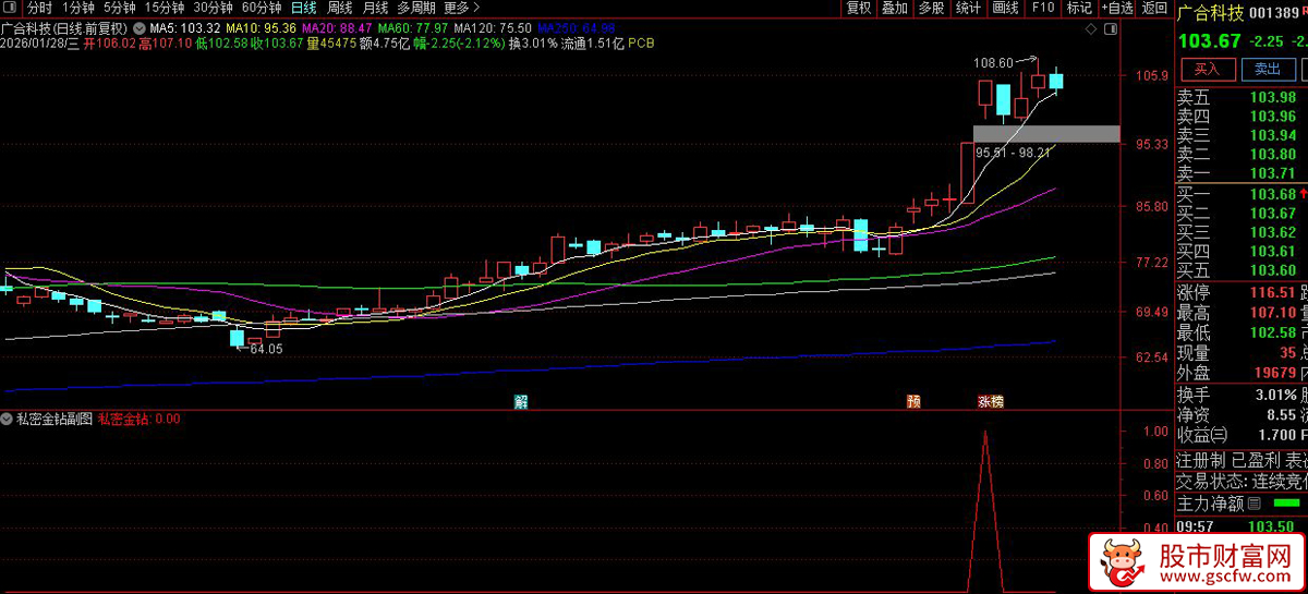 通达信〖私密金钻预警〗副图+选股指标_展示图_03