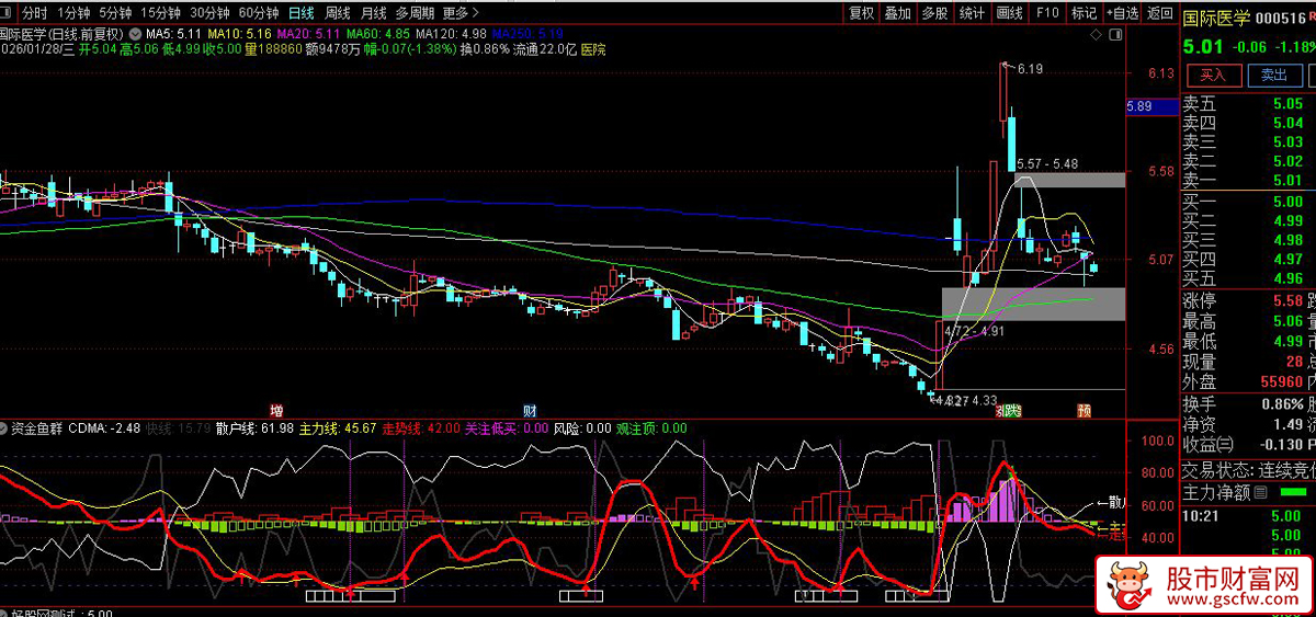 通达信〖资金鱼群〗副图指标_展示图_03