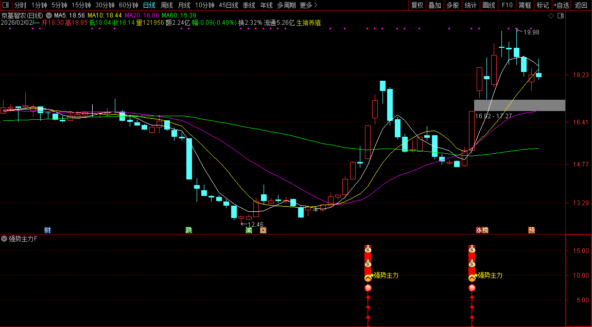 通达信〖强势主力〗副图+选股_展示图_03