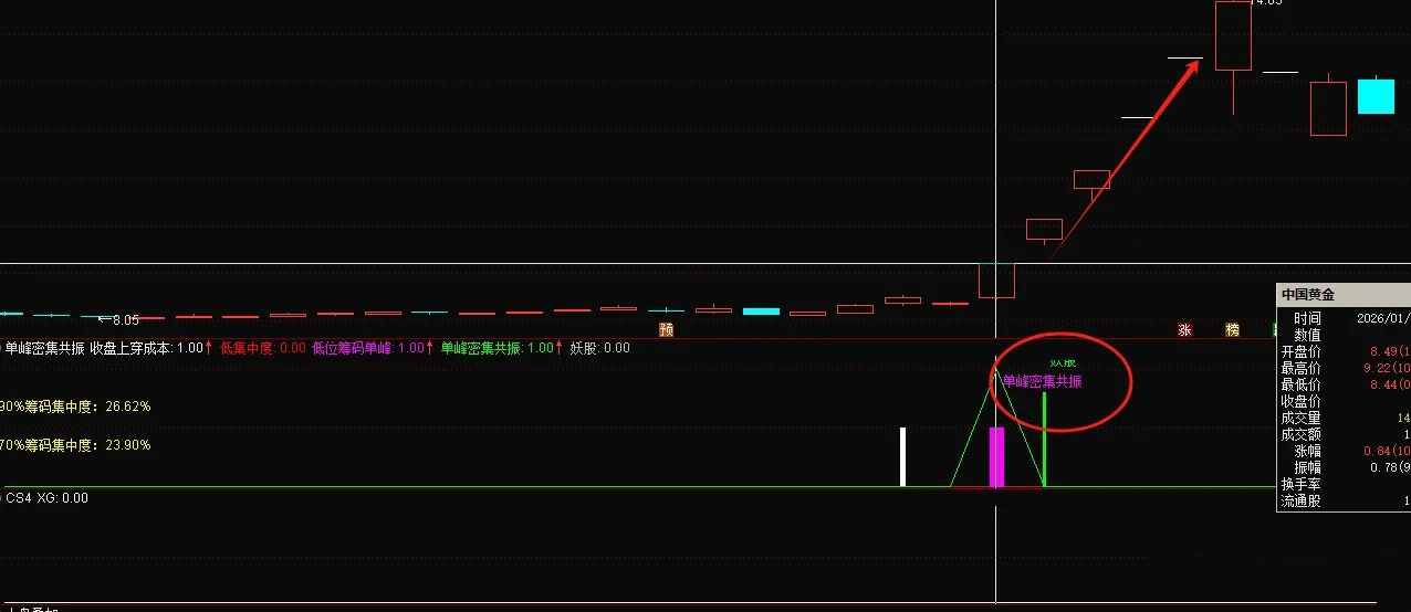 通达信【单峰密集共振】副图+选股_展示图_02