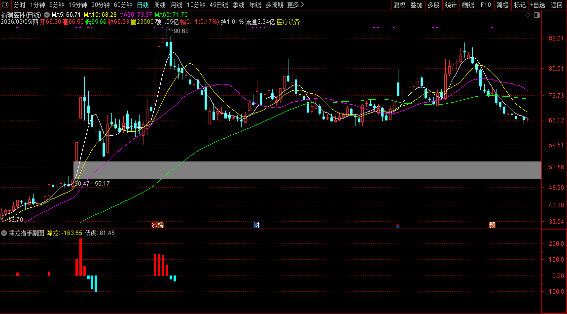 通达信〖擒龙猎手〗副图指标_展示图_04