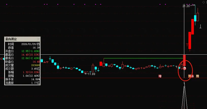 通达信【龙头黄金坑】主图+选股_展示图_04