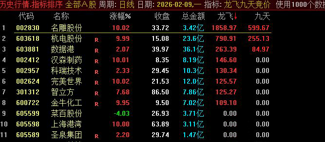 通达信【龙飞九天】】竞价排序指标_展示图_01
