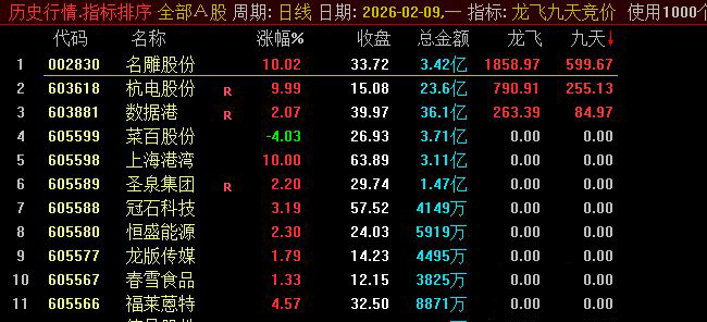 通达信【龙飞九天】】竞价排序指标_展示图_02