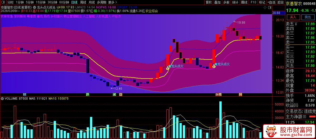 通达信〖龙头点火战法〗捕捉强势股启动初期的买入机会_展示图_05